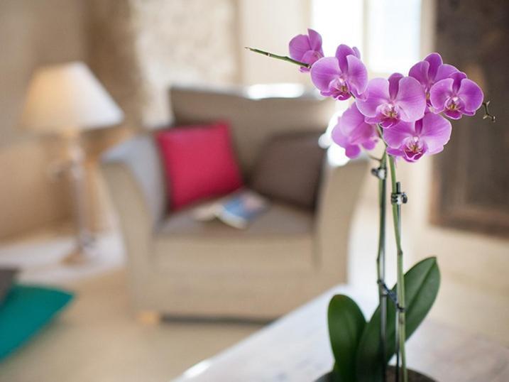 Domaine La Parpaille Otel Cucuron Dış mekan fotoğraf